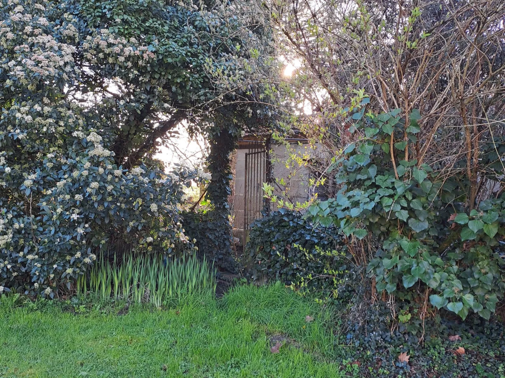 Der Pavillon - im Park des Schlosses Lescaut-Buiten