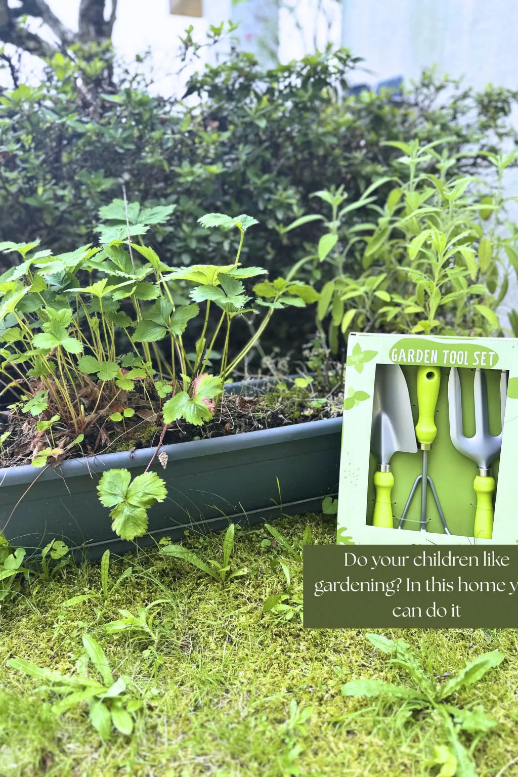 Appartamento vacanze "Luxus-Wohnung"-Buiten