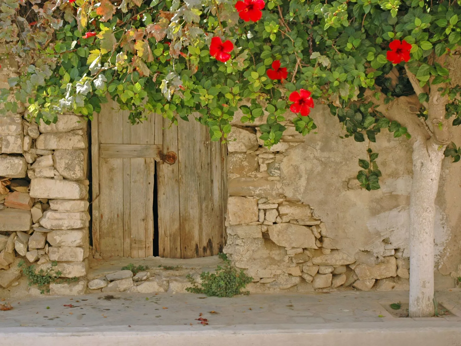 Wohnung "Aliki" mit Blick auf das Wasser-Buiten