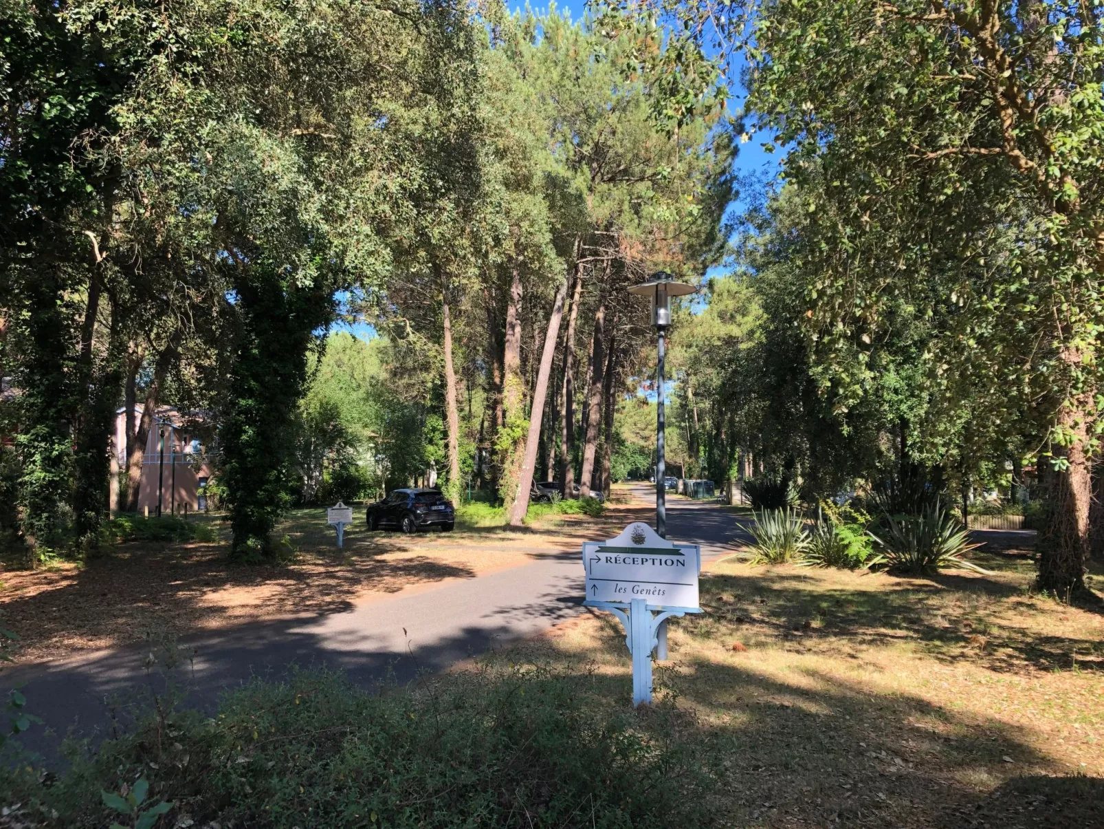 Hübsches kleines Haus in ruhiger Lage in einer baumbestandenen Residenz mit beh-Buiten