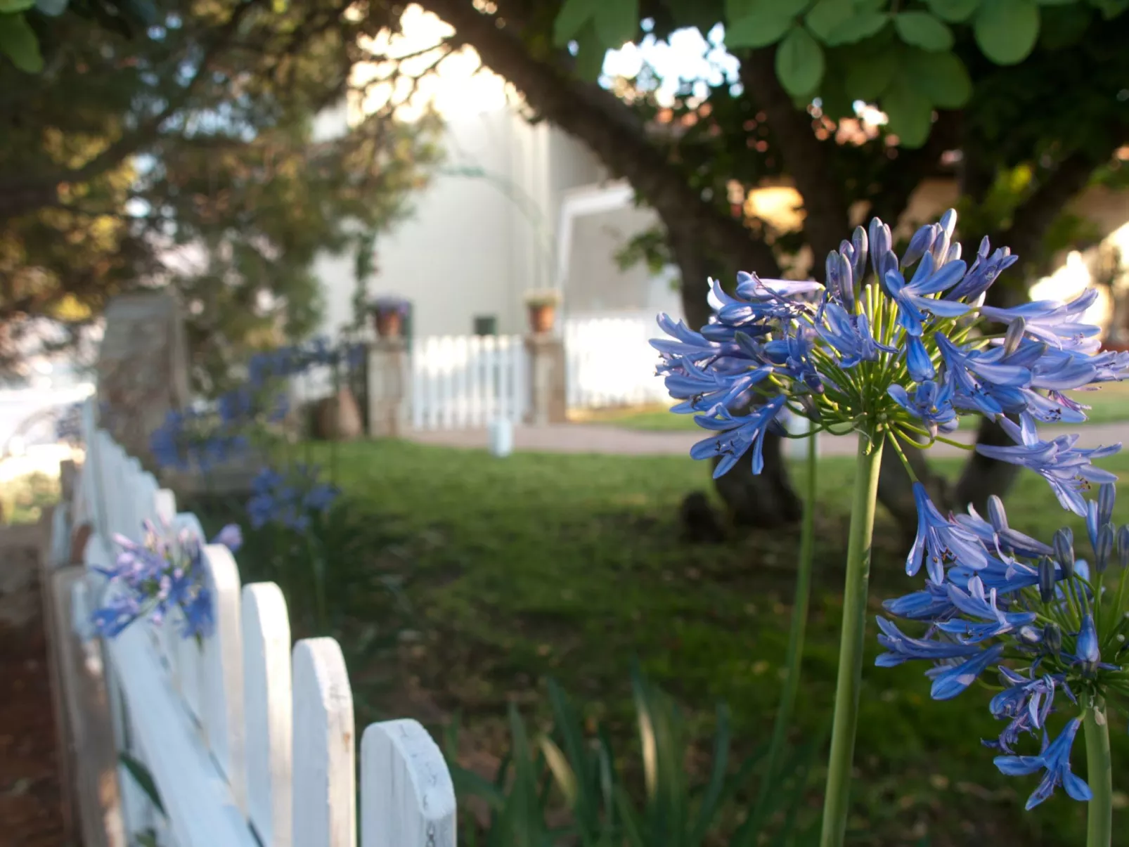 Der Garten von Zephyrus - West-Image-tags.info