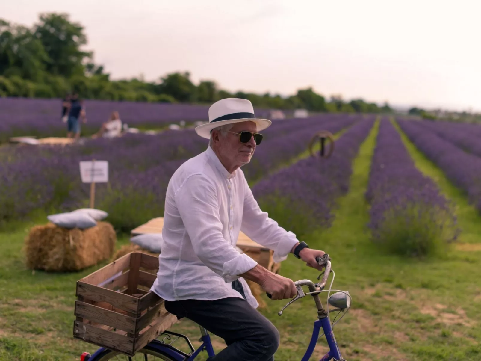 Wohnung 'Molinello pini' mit Schwimmbad-Buiten