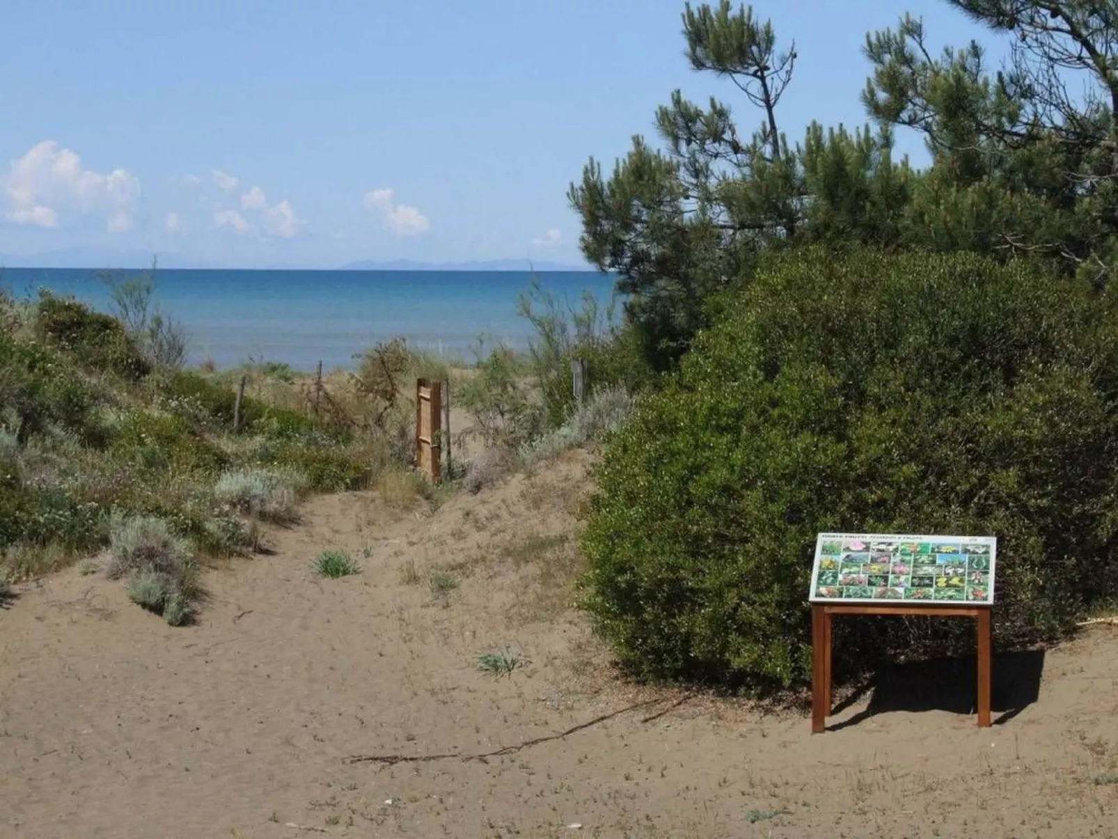 'Fresia' mit Pool-Image-tags.info