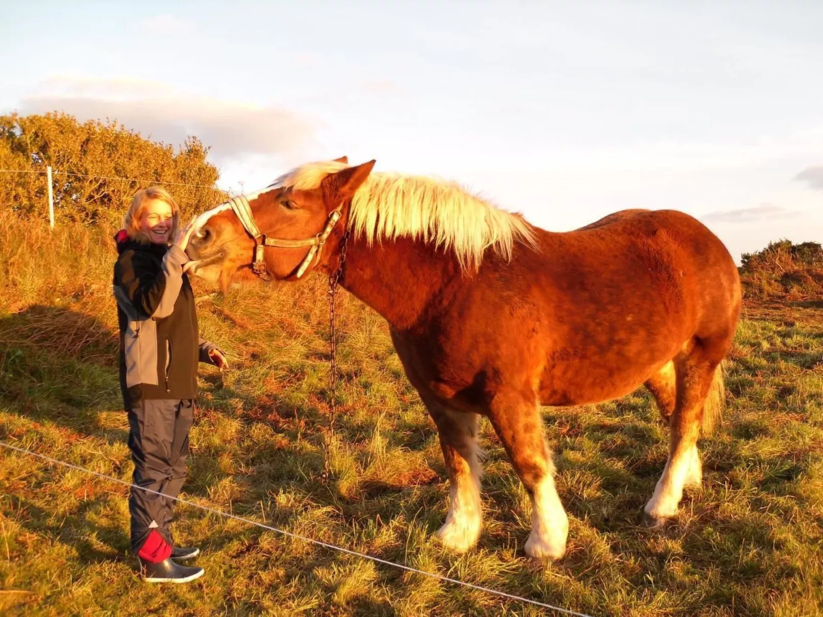 Küstennahes, bretonisches Ferienhaus mit Kamin-Buiten