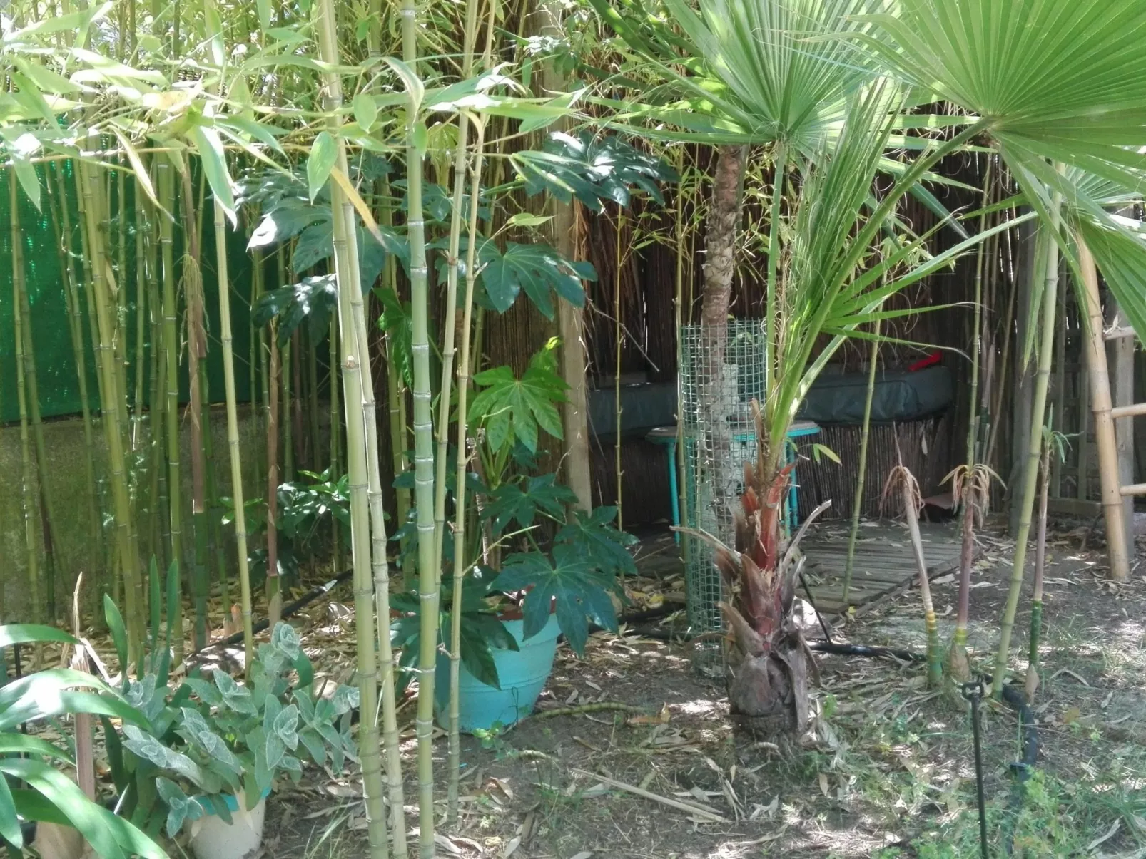 In Méditerranée mit Grill, Garten und Terrasse-Buiten