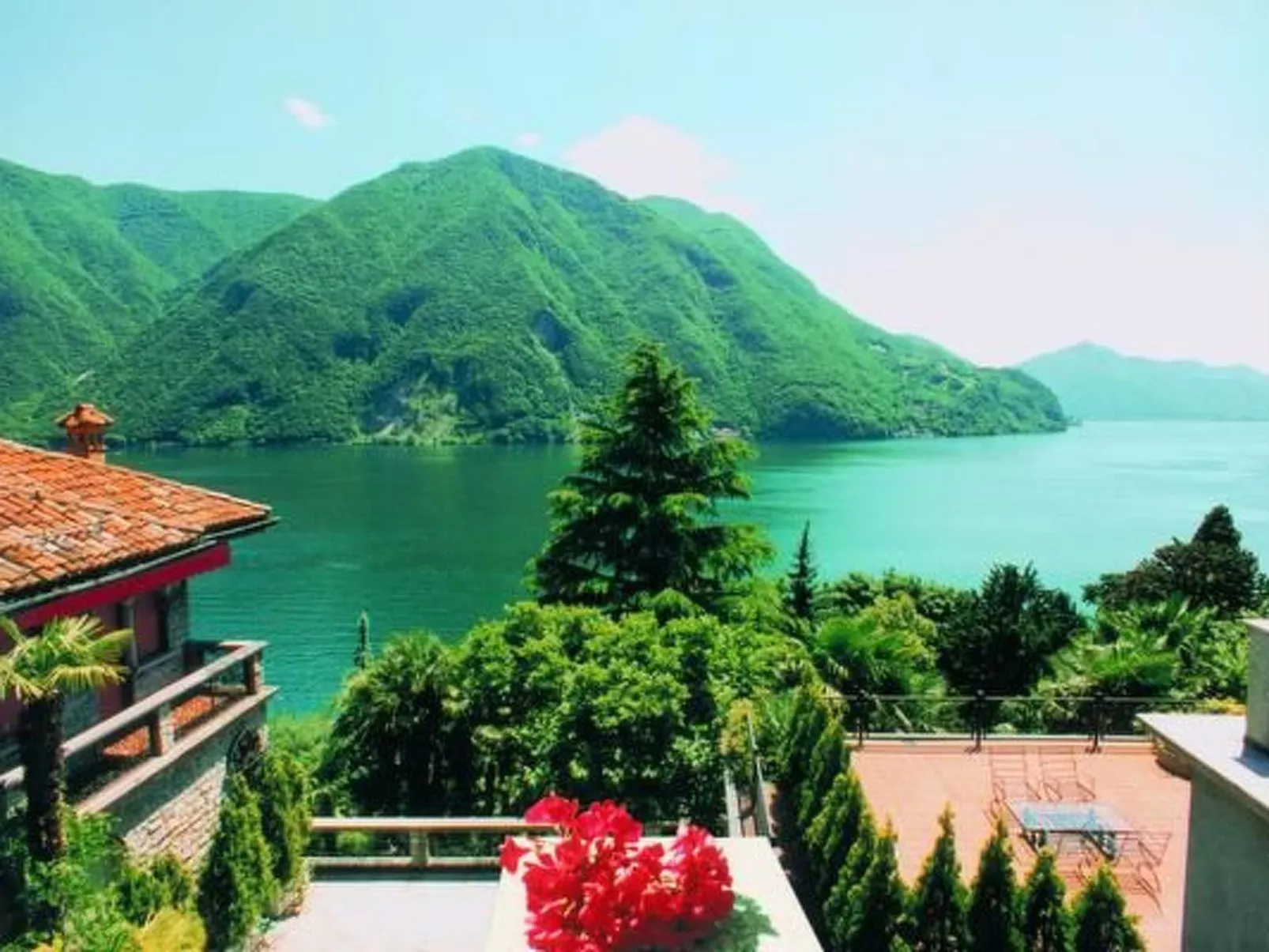 Agave-Image-tags.info