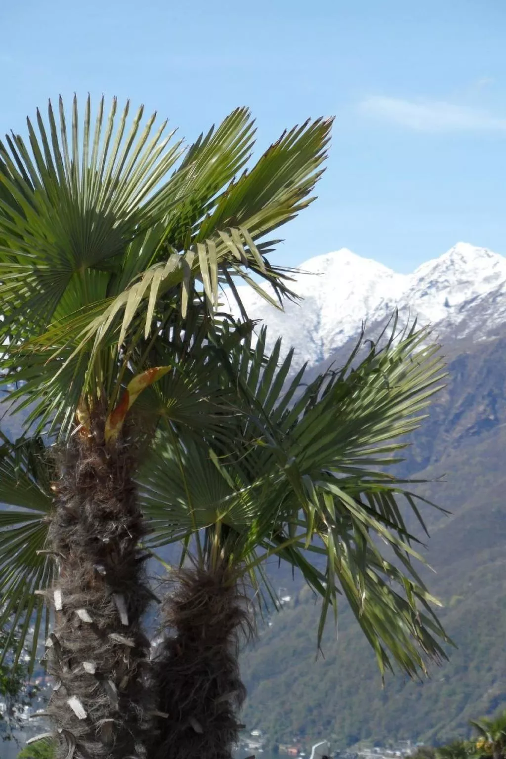 Casa Rocca Bella C-Buiten