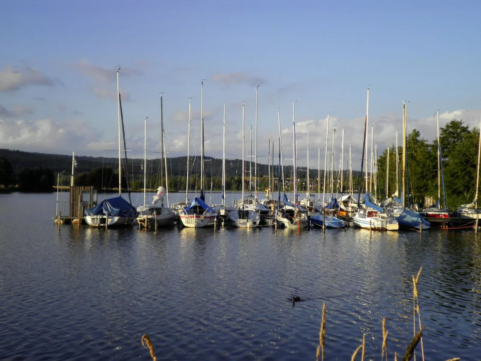 Am Weißenstädter See-Image-tags.info