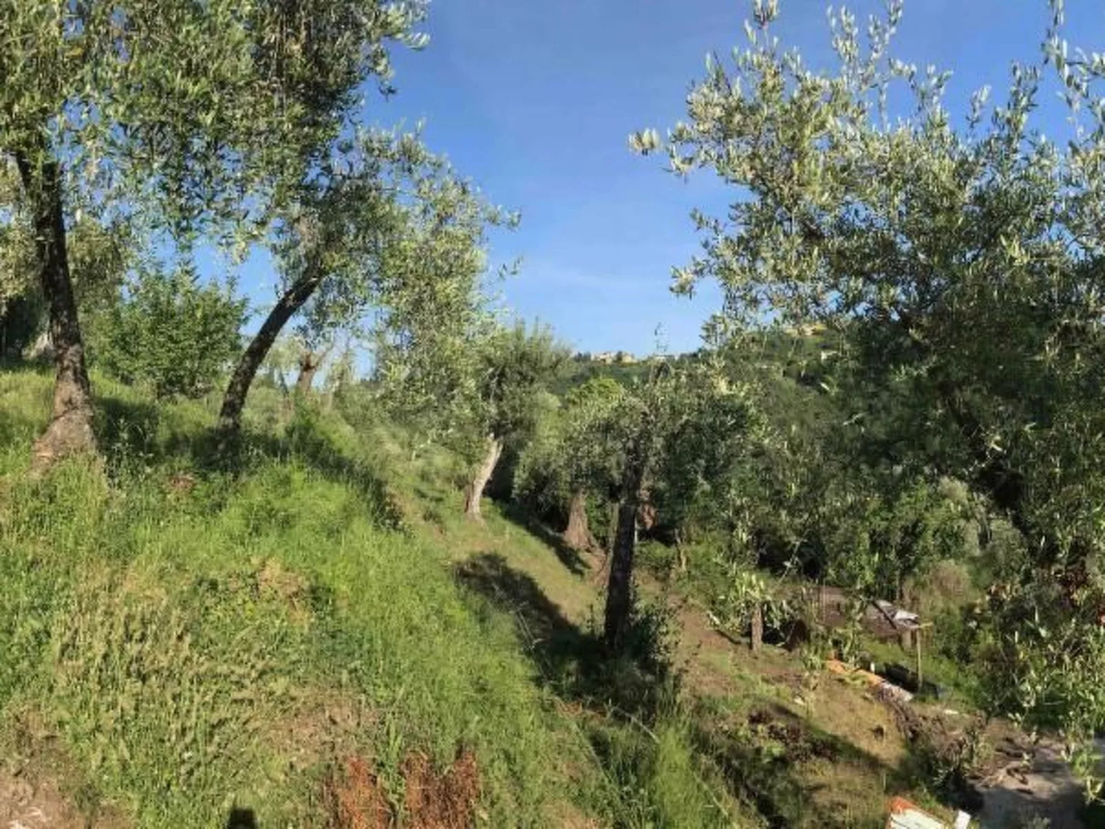 Artist's hill-Buiten