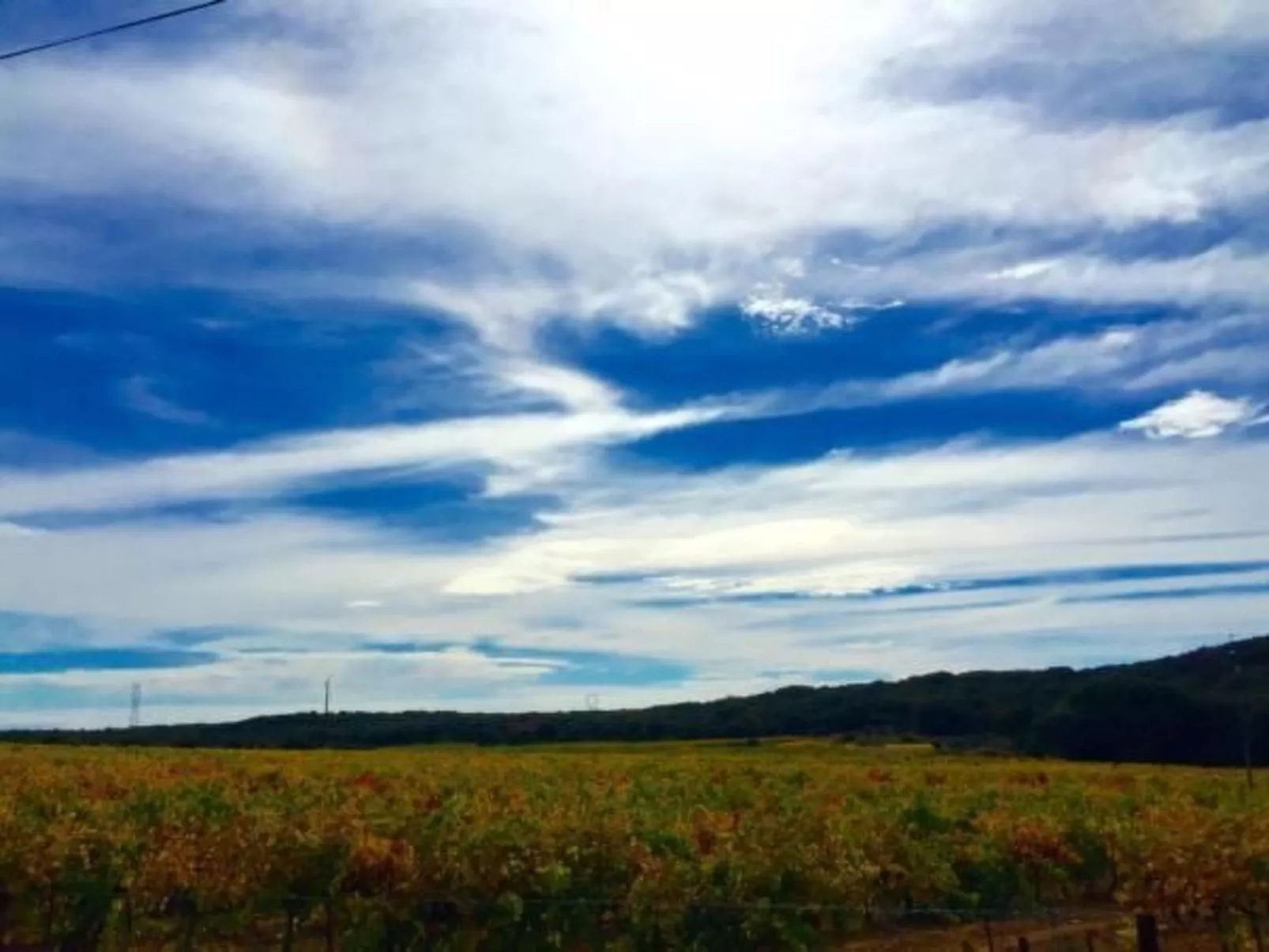 Villa Fleurie-Buiten