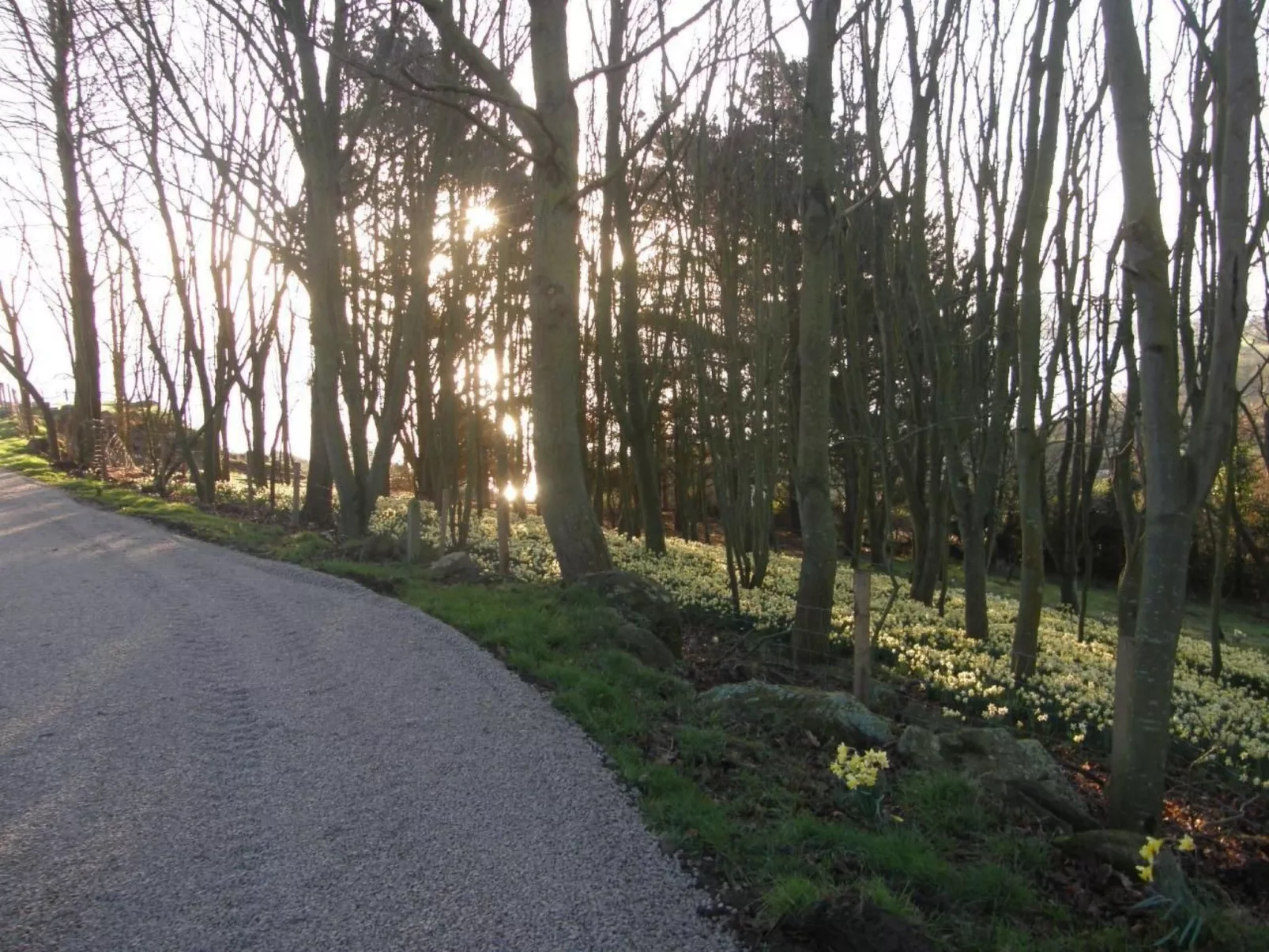 "Tromeal Lasalle" blick auf das Meer. Mit 4 Sternen klassifiziert-Buiten