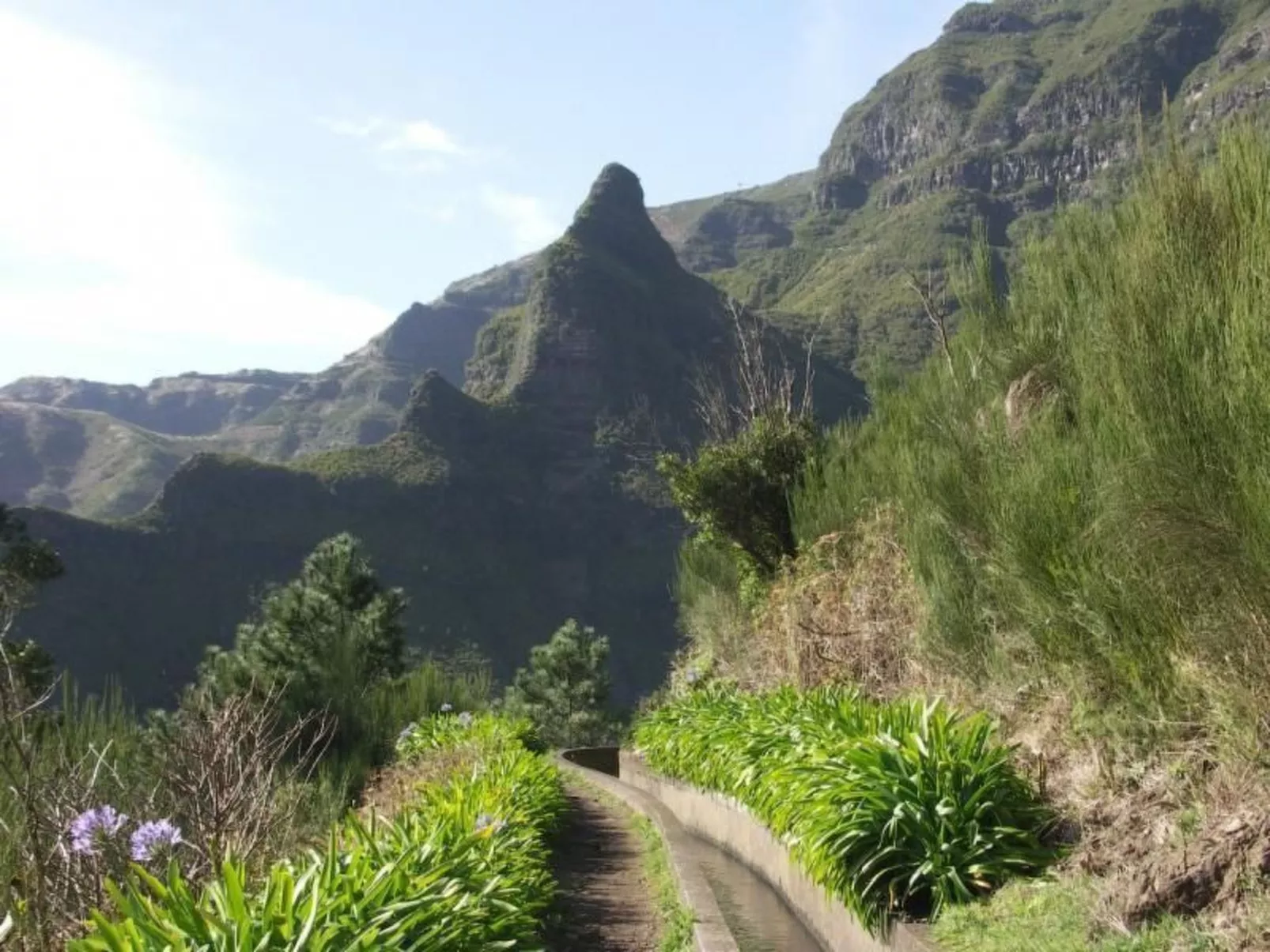 Seaview Refugium 633-Image-tags.info