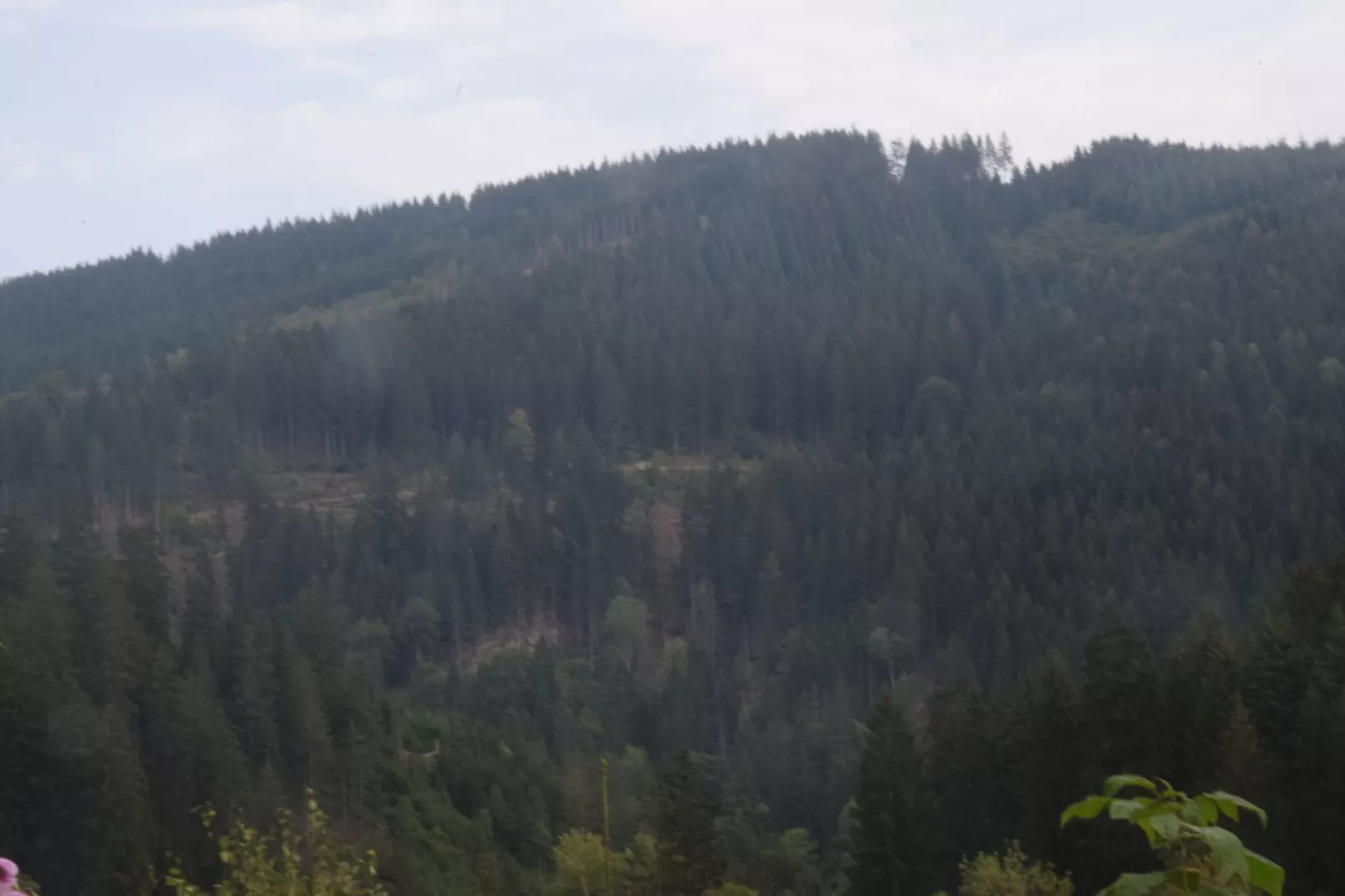 Ferienwohnung Sonne in Harz-Gebieden zomer 1km