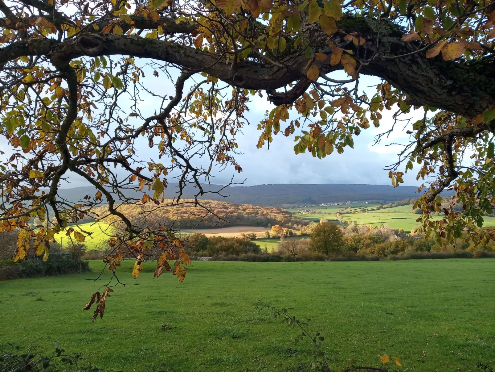 An der Weinstraße von Burgund-Buiten