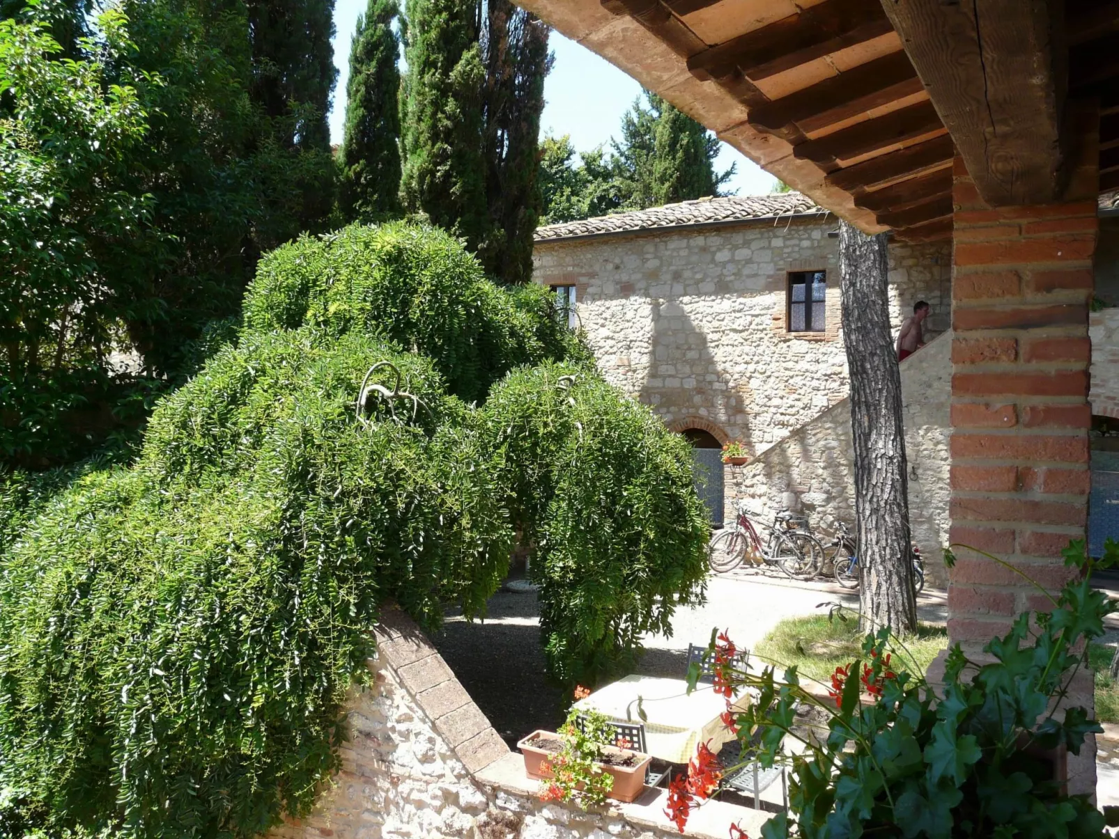 'Santinovo olivo' mit Pool-Buiten