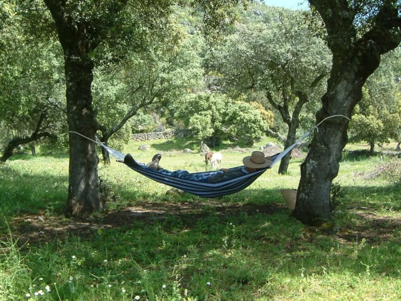 The Barn at Finca al-manzil-Image-tags.info