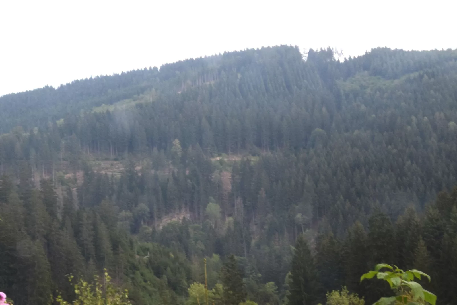 Ferienwohnung Veranda in Harz Wildemann-Gebieden zomer 1km