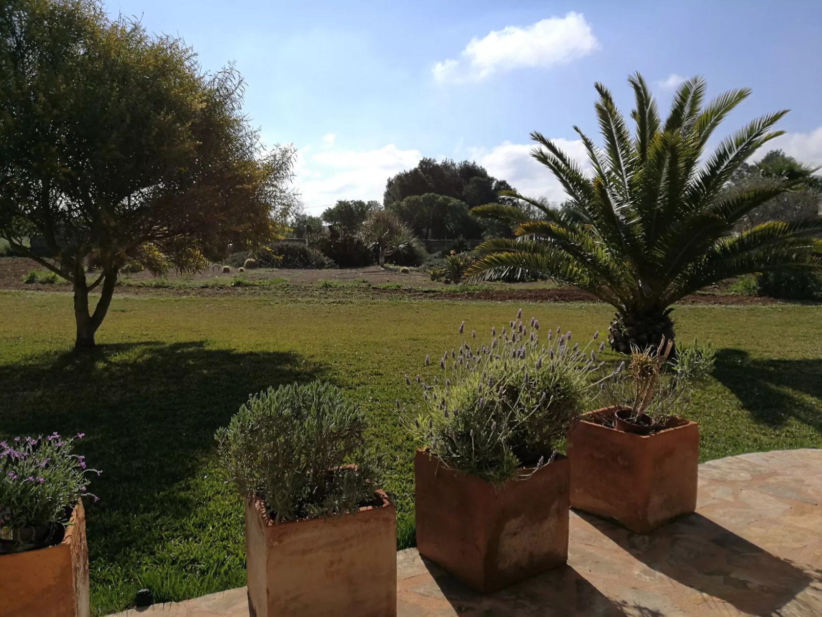 Finca Alegria-Buiten