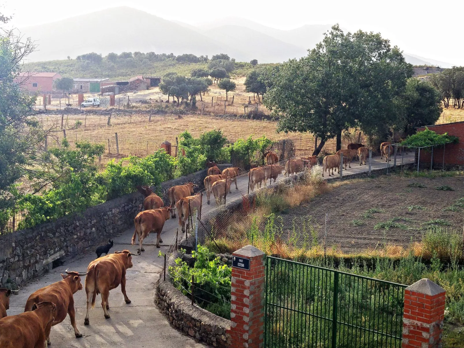 Mit privatem Pool-Image-tags.info