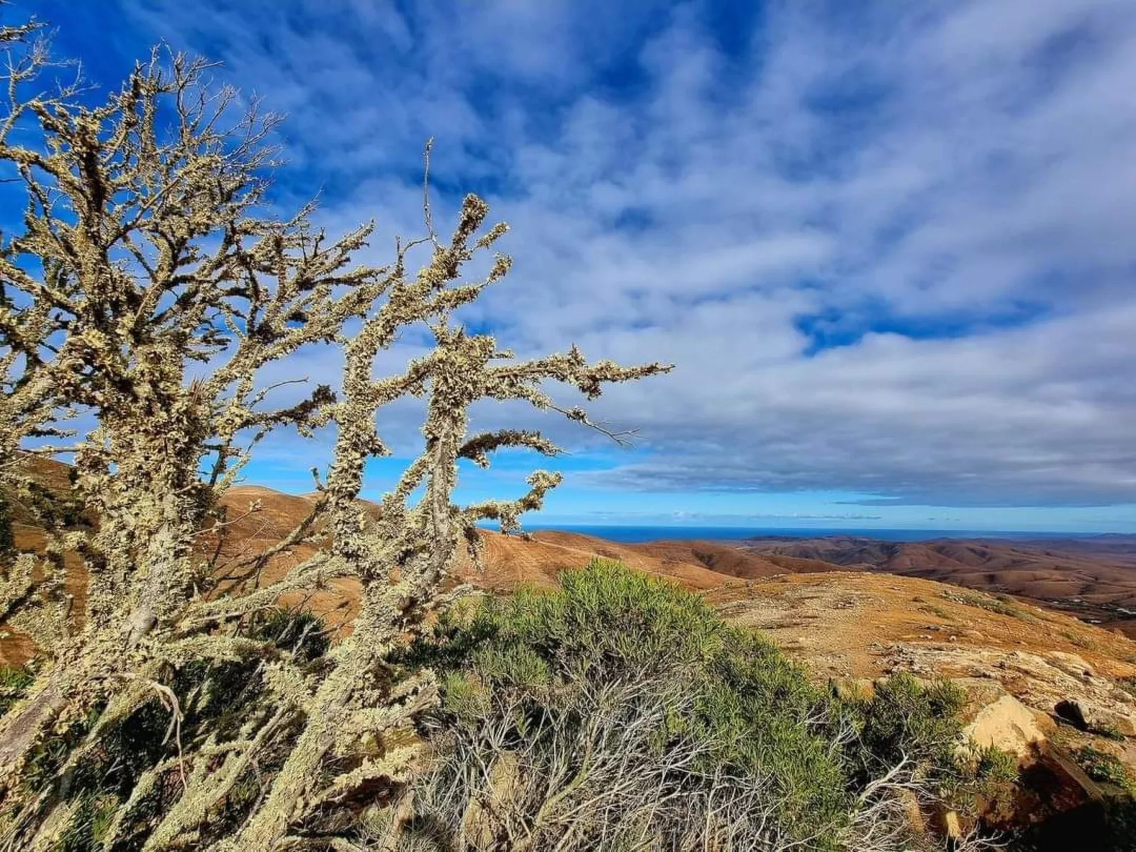 Duplex Casa Maya Caleta de Fuste-Buiten