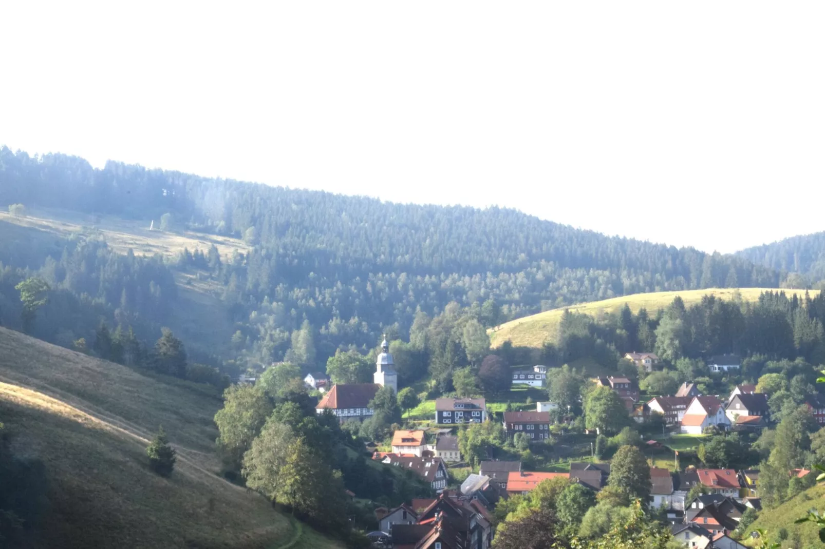 Ferienwohnung Stern - Harz Wildemann-Gebieden zomer 1km