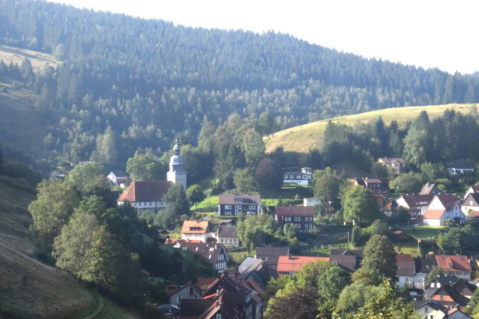 Ferienwohnung Stern - Harz Wildemann-Gebieden zomer 1km