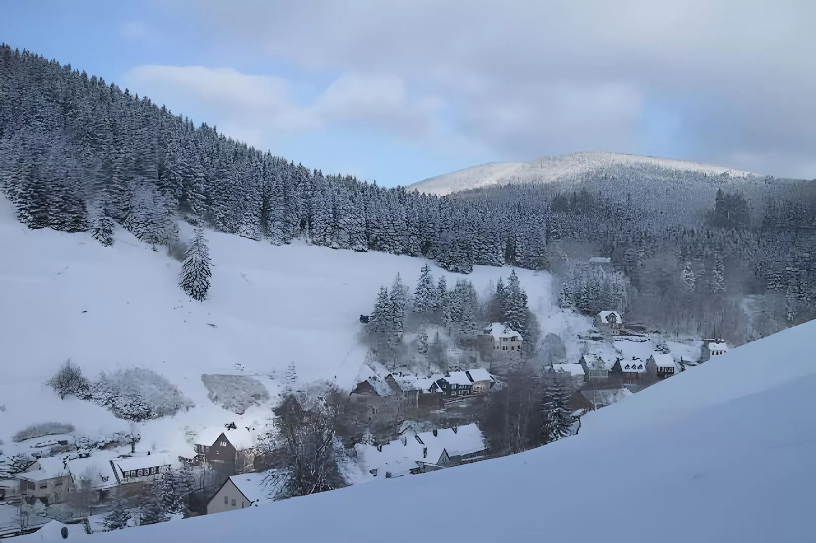 Ferienwohnung Stern - Harz Wildemann-Gebied winter 5km