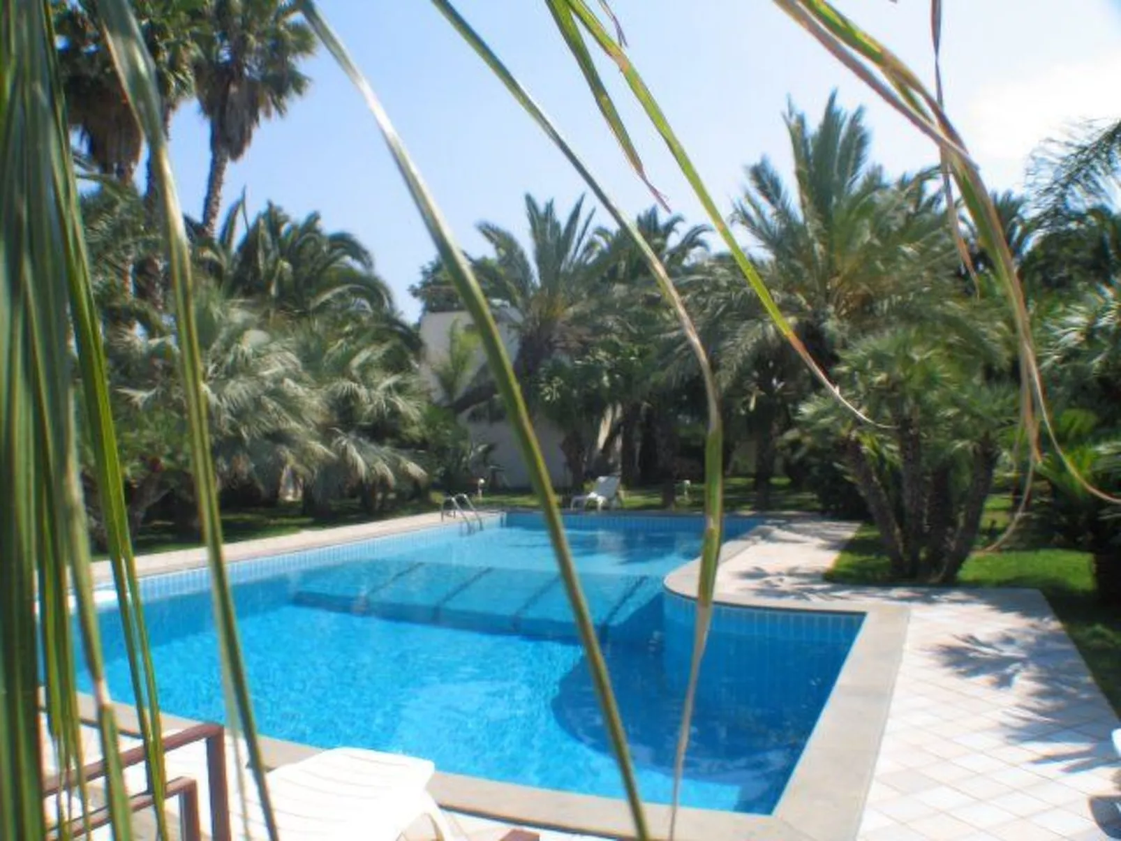 Cuore di Palme Bilo-Buiten