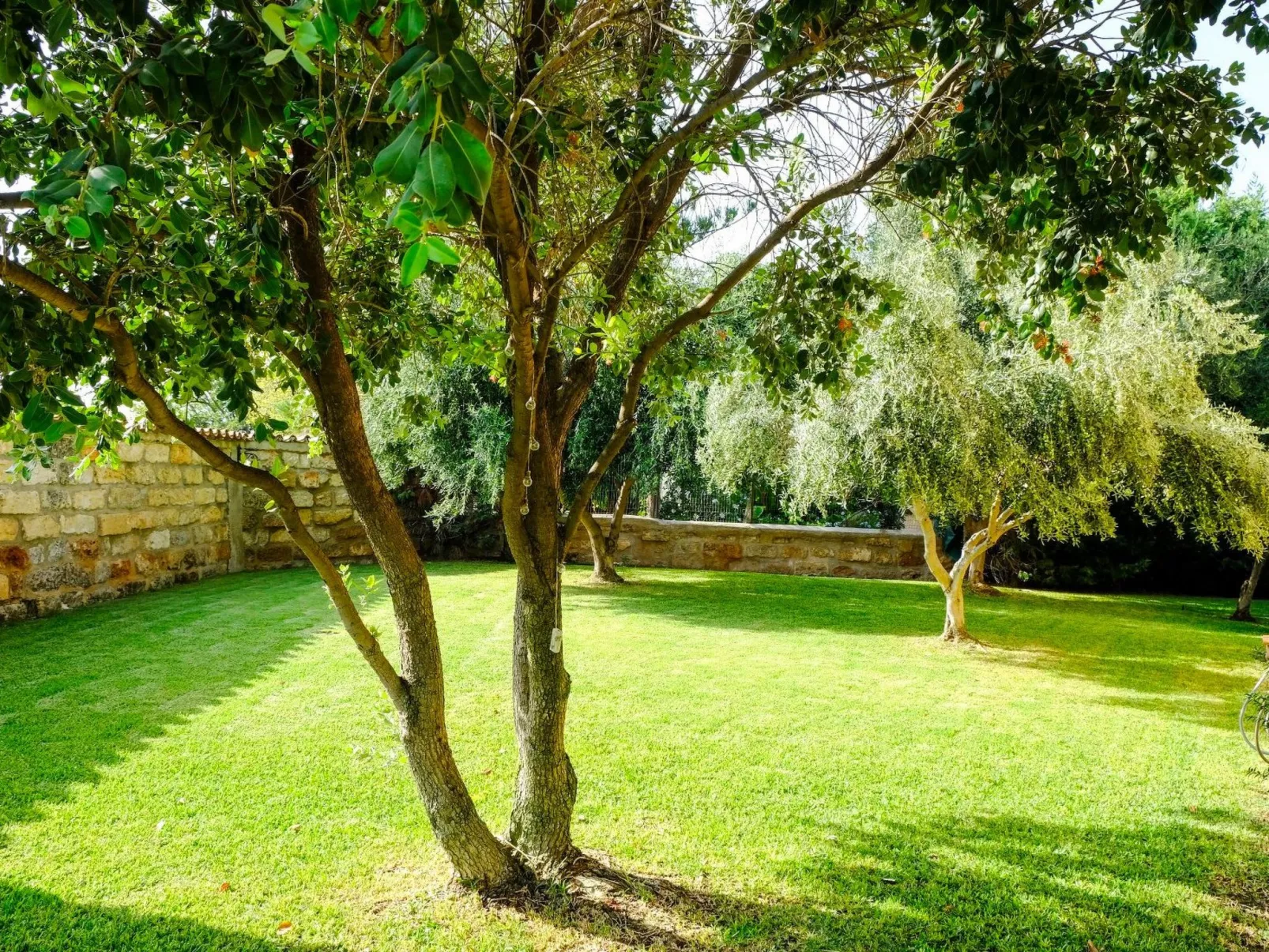 "Carta Fashion" mit eigenem Pool-Image-tags.info