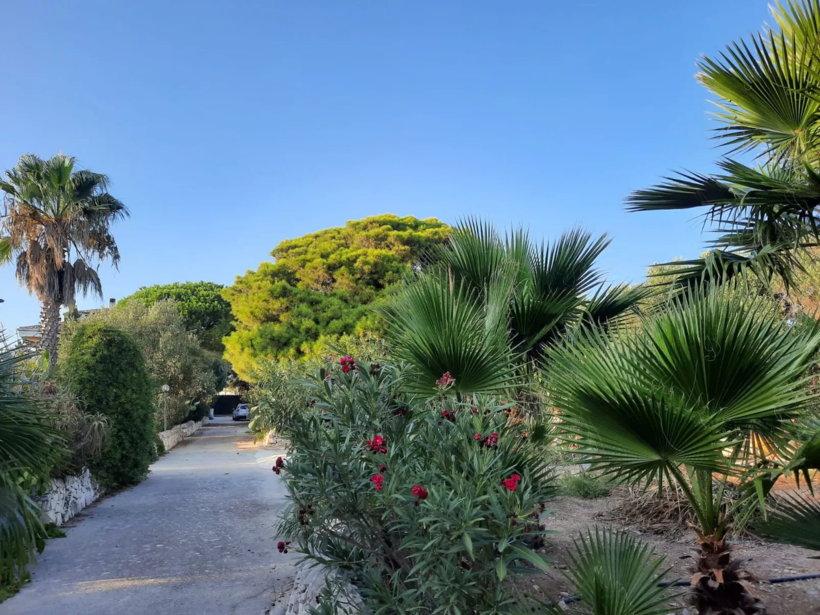 Villa Matilde: Kleine Ferienwohnung mit Meerblick-Buiten