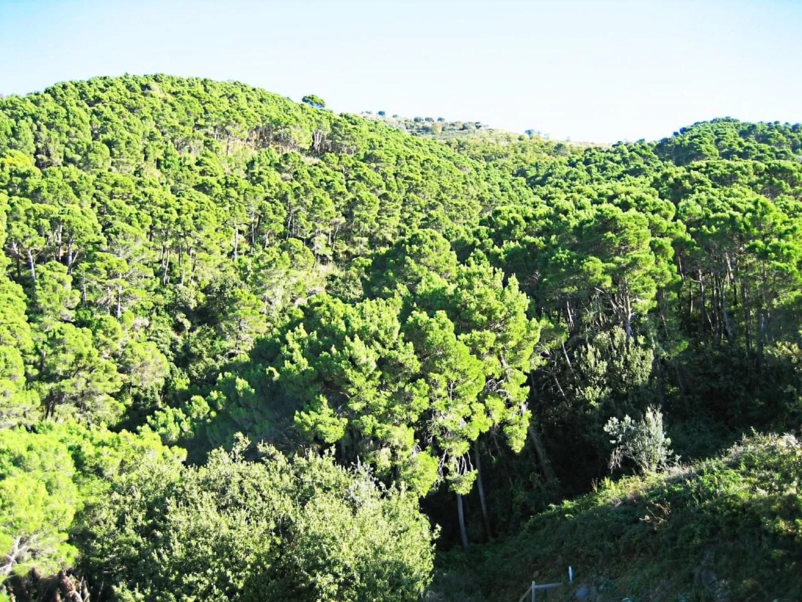 Top Ferienwohnung-Image-tags.info