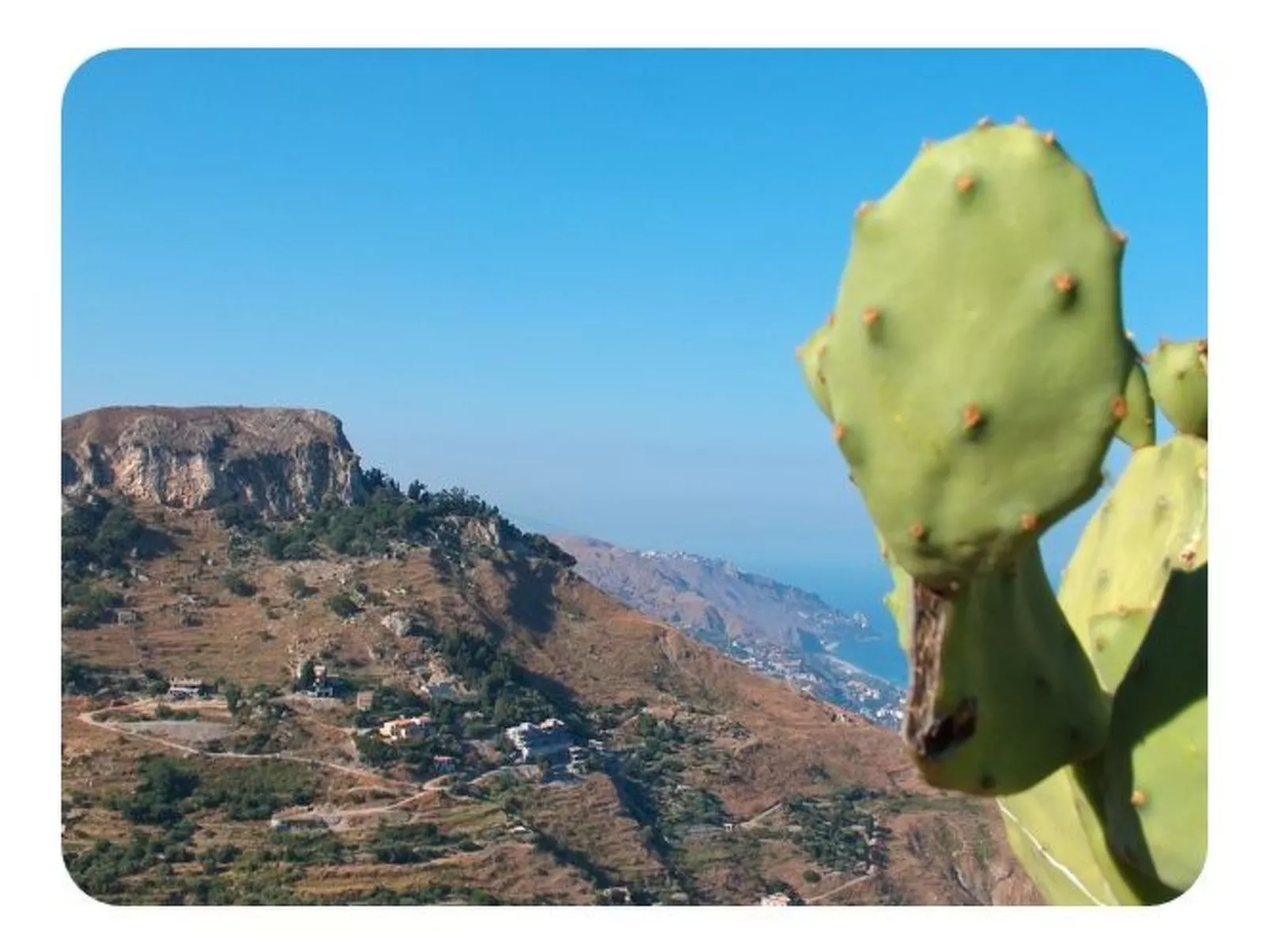 Don Diego-Image-tags.info