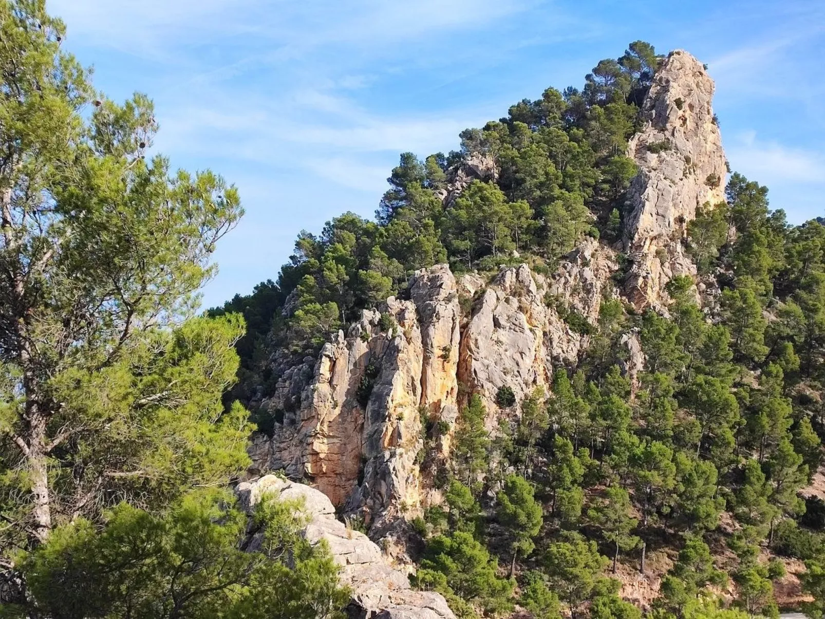 Domicilio de Vida-Image-tags.info