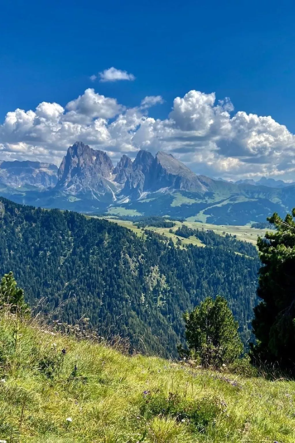 Cesa Vedla DOLOMITES-Buiten