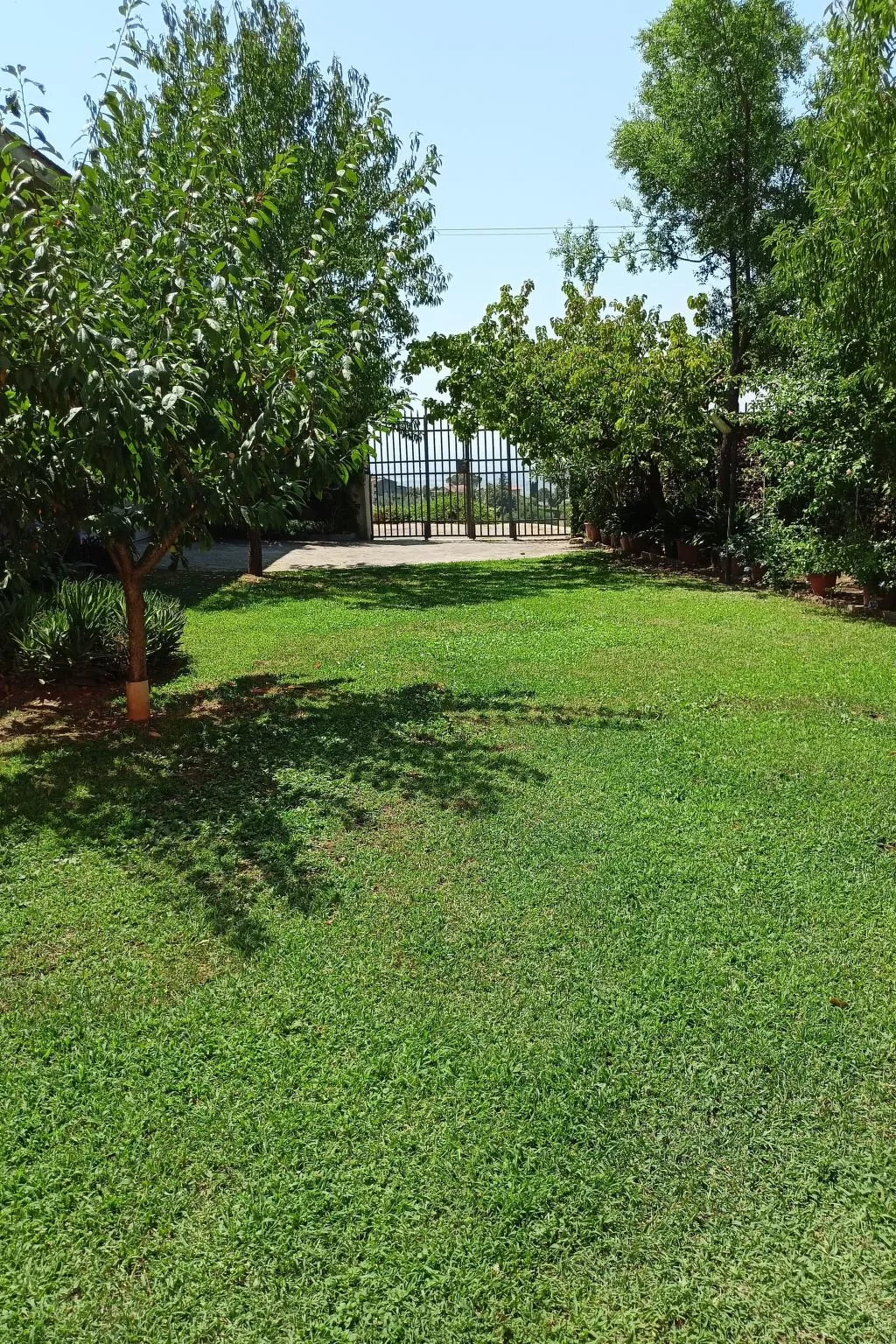 Gemütliche Wohnung in Porciano-Buiten