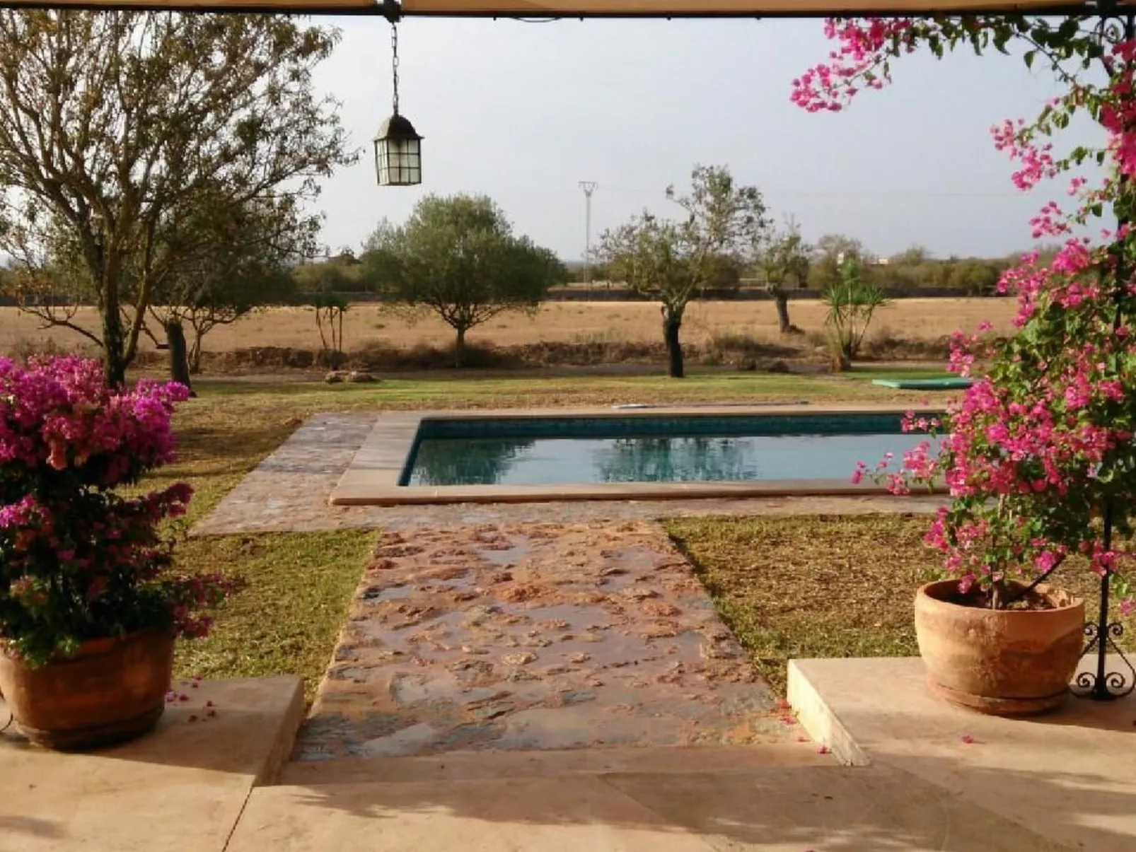 Sohn Fred, Campos-Image-tags.info