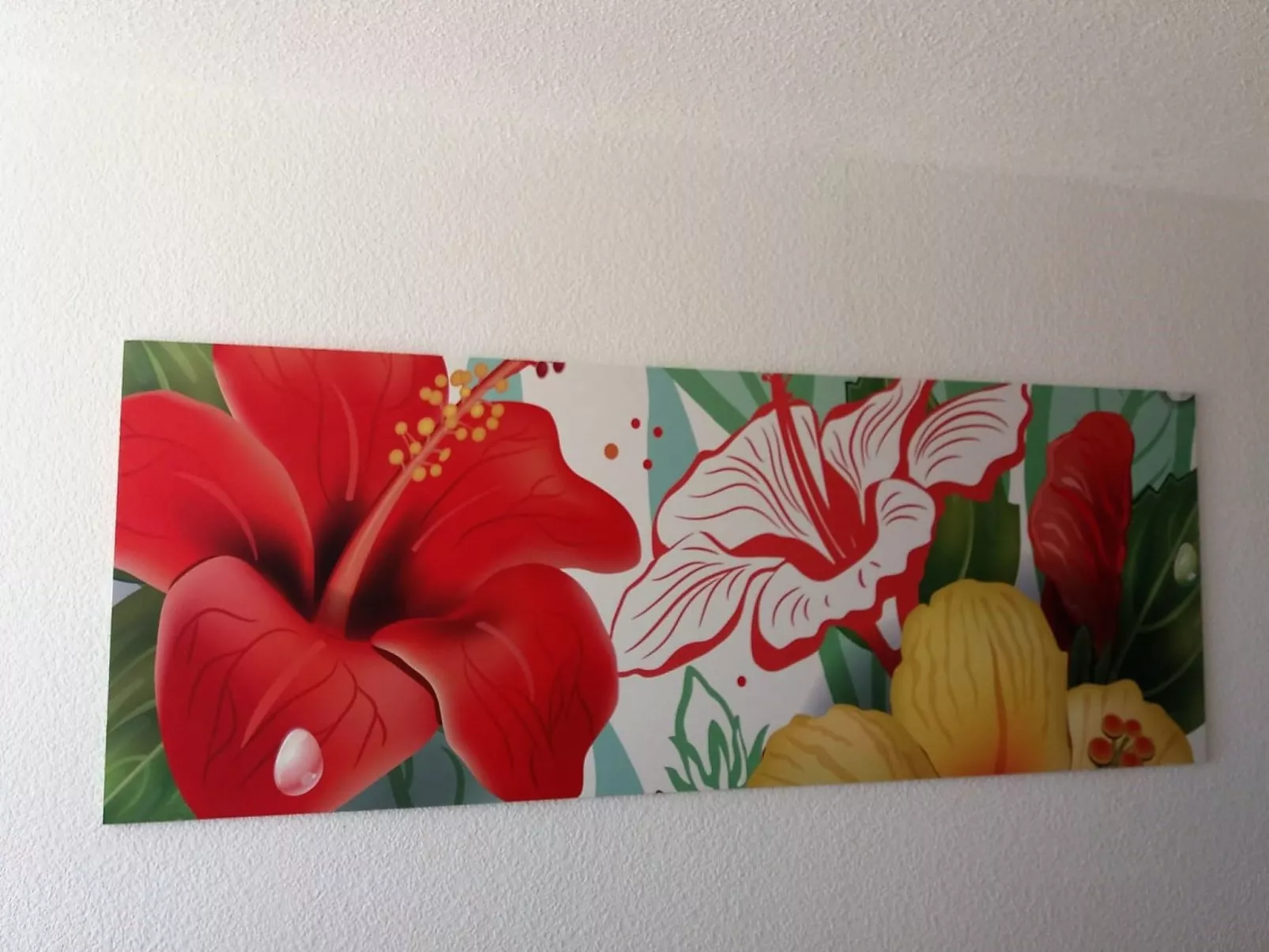 Wohnungen Palm Garden-Binnen