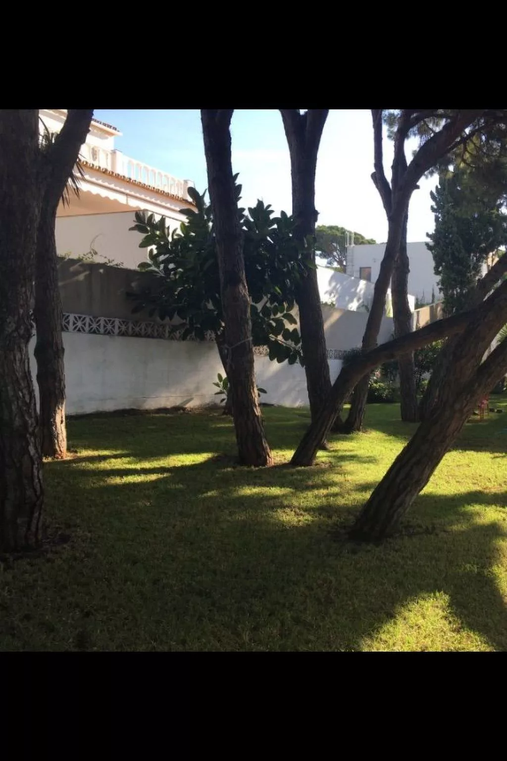 Tortugas-Image-tags.info