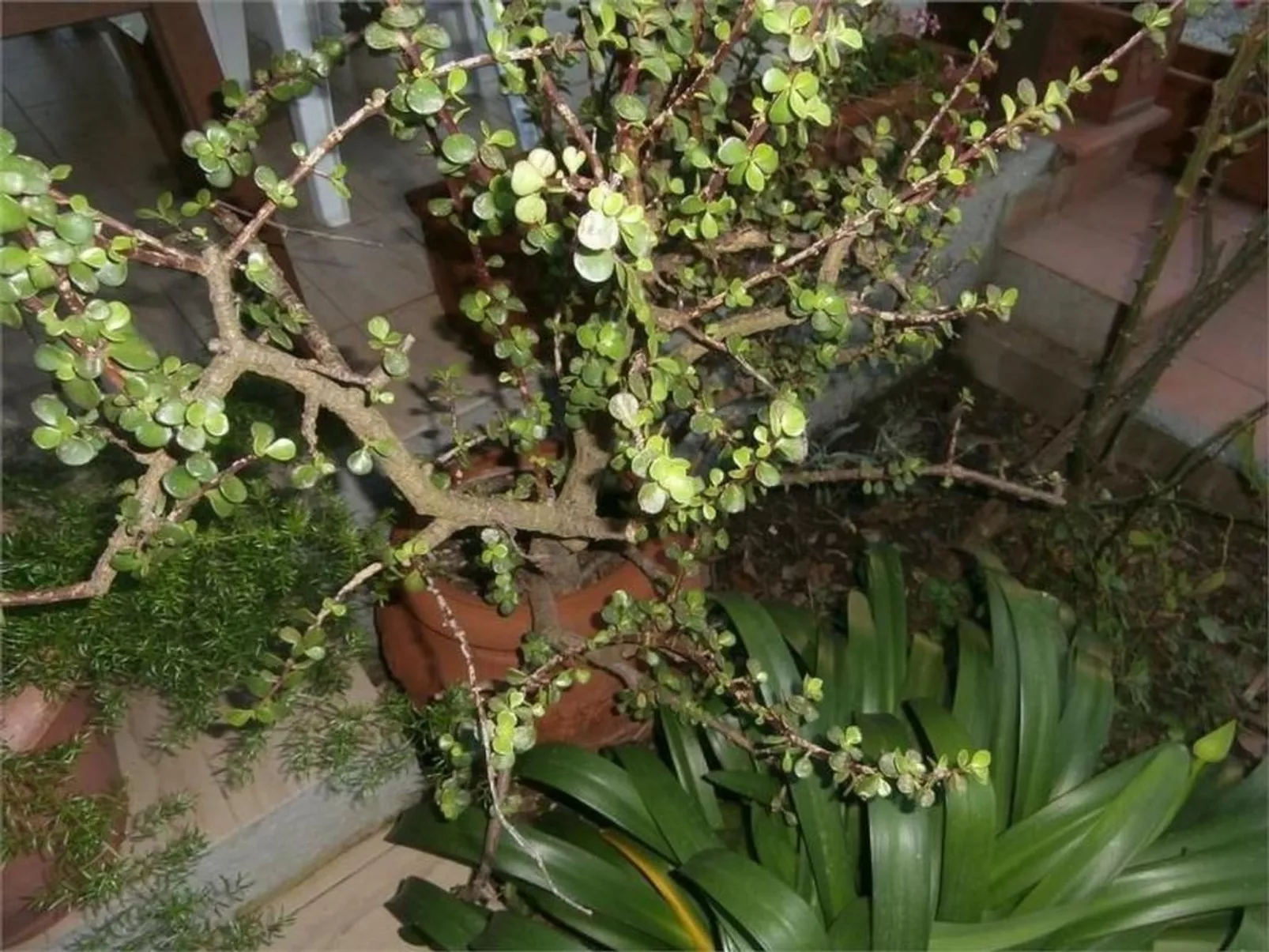 Wohnung mit Wasserblick-Image-tags.info