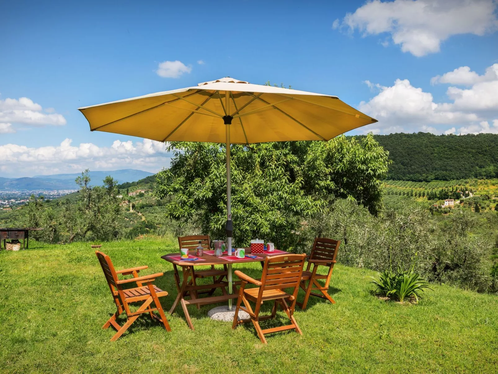 Ein Haus in der Olivenhaine - casa buriano GIULIA-Image-tags.info