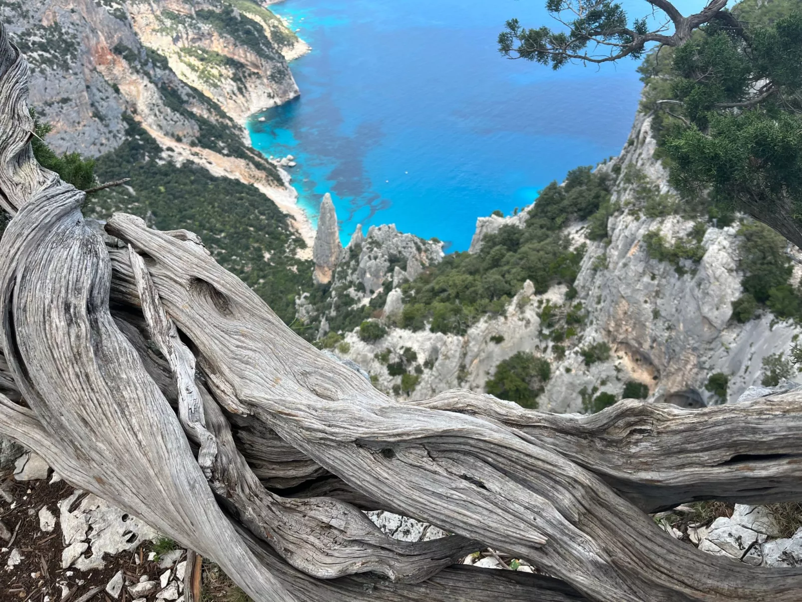 Orientale 205 Baunei-Image-tags.info