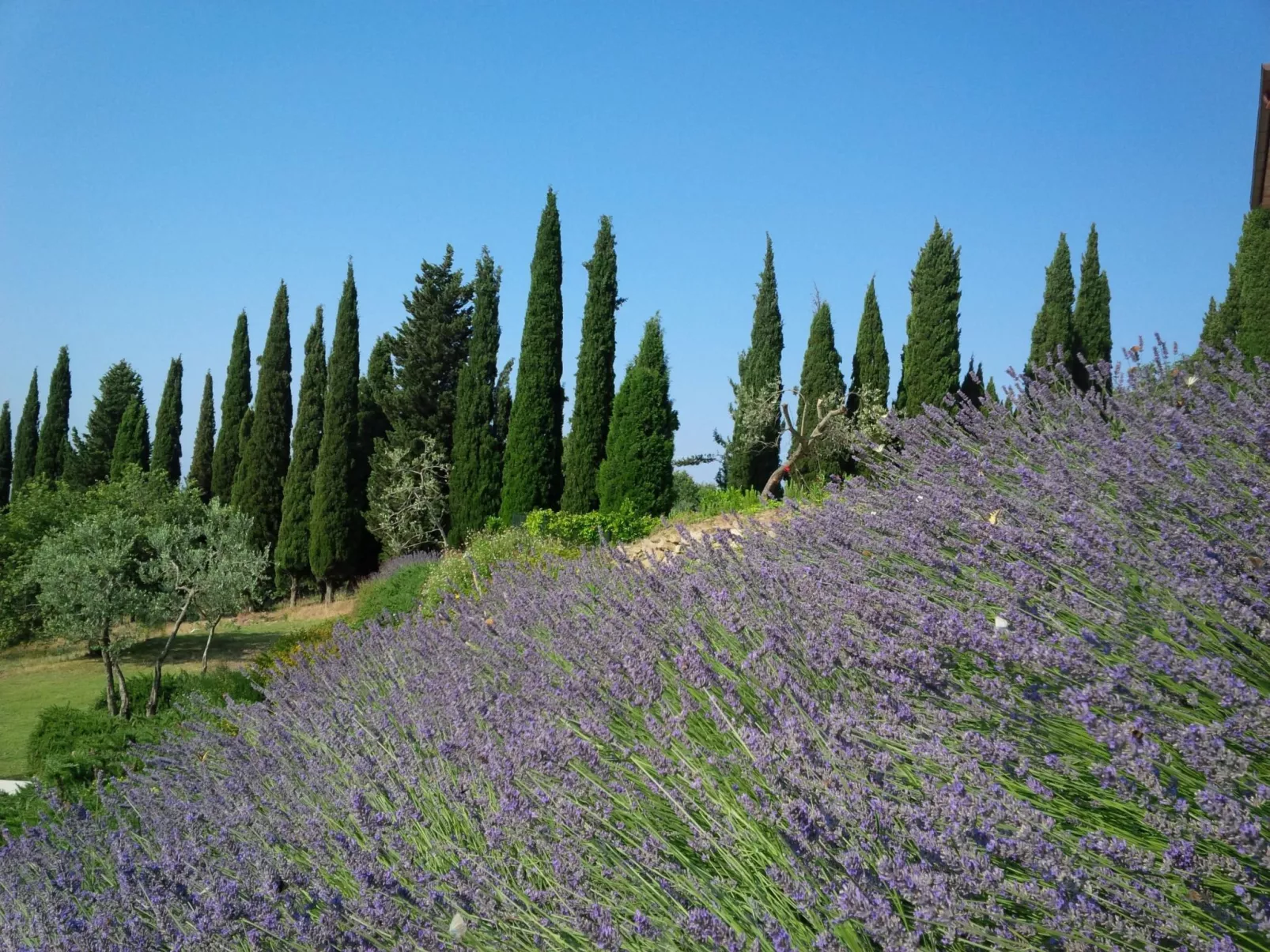 'La Torre' mit Terrasse-Buiten