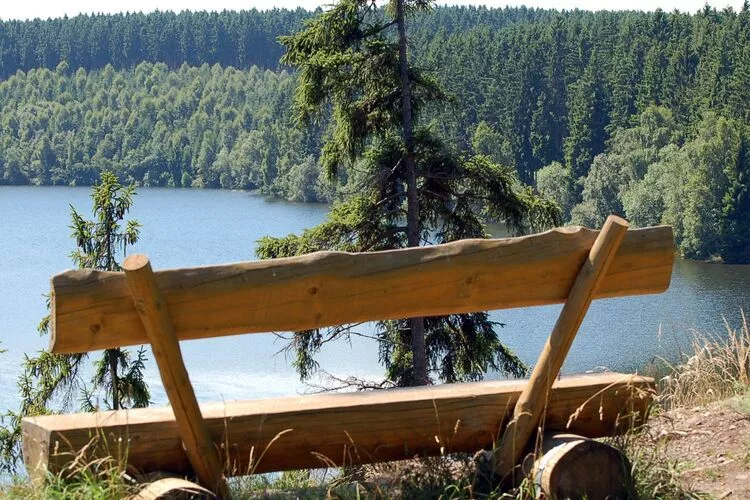 Ferienhaus in Hasselfelde - Haus 13 Blauvogel-Gebieden zomer 5km