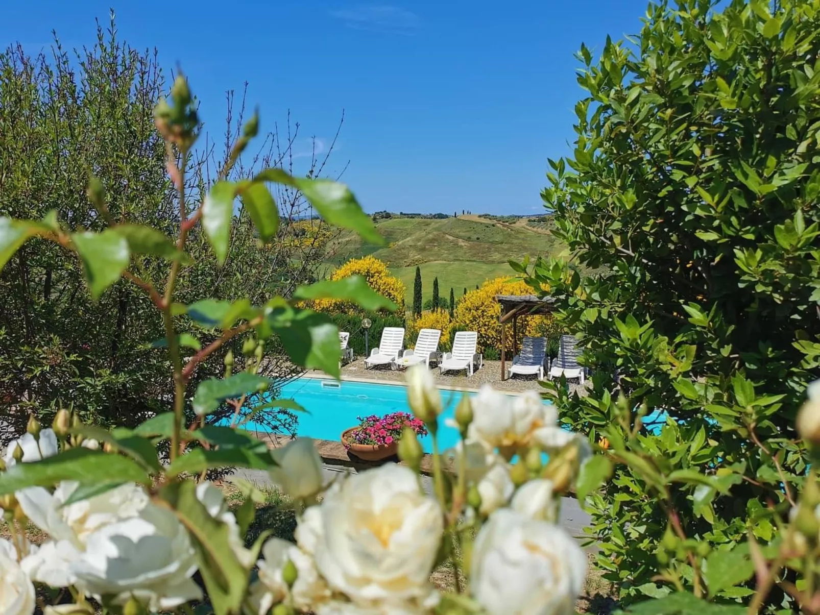 Vierblättriges Kleeblatt-Buiten