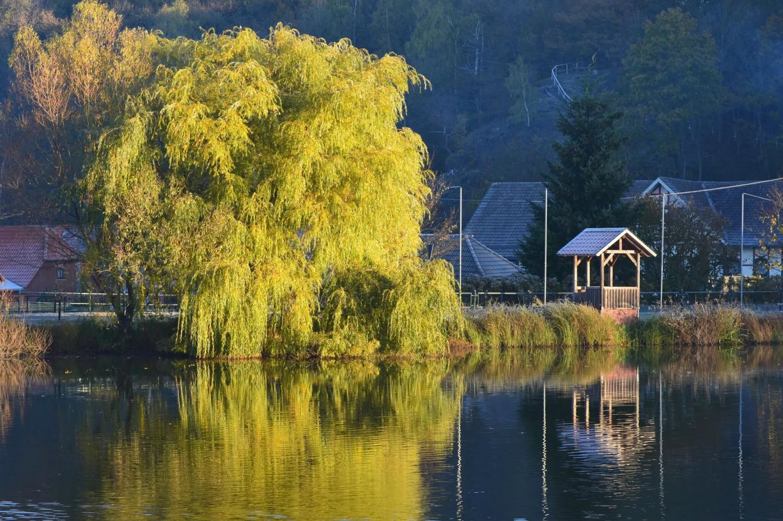 Ferienhaus in Hasselfelde - Haus 13 Blauvogel-Gebieden zomer 5km