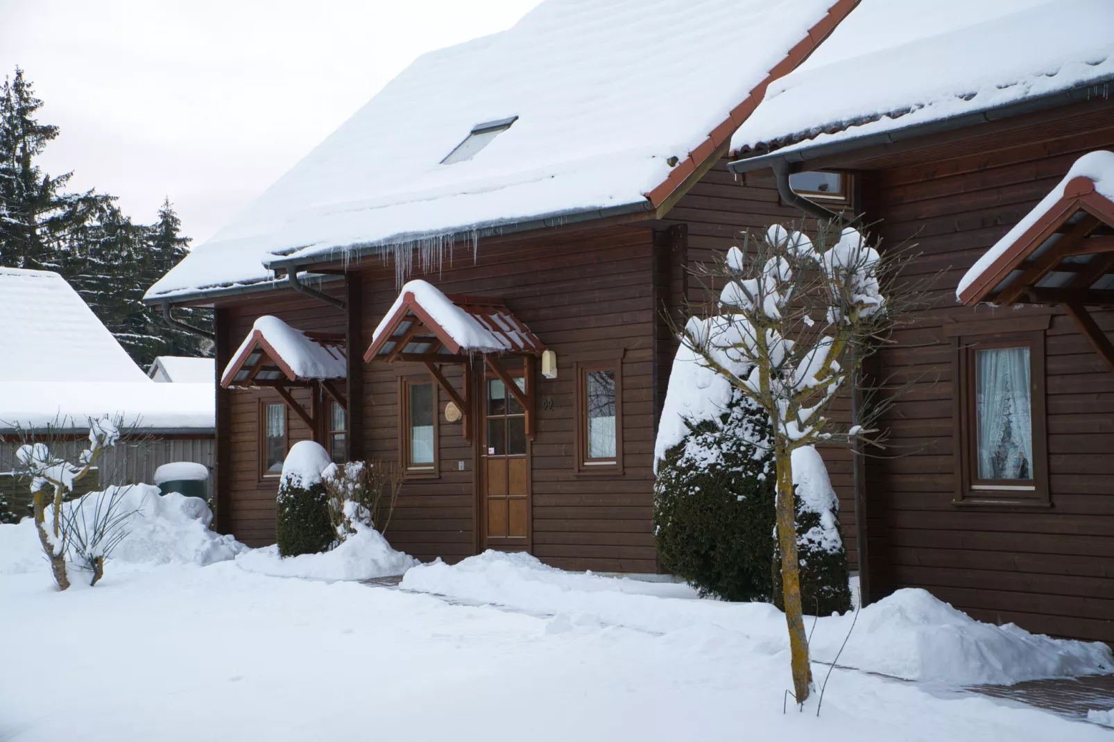 Ferienhaus in Hasselfelde - Haus 22 Blauvogel-Exterieur winter