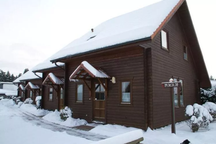 Ferienhaus in Hasselfelde - Haus 31 Blauvogel-Exterieur winter