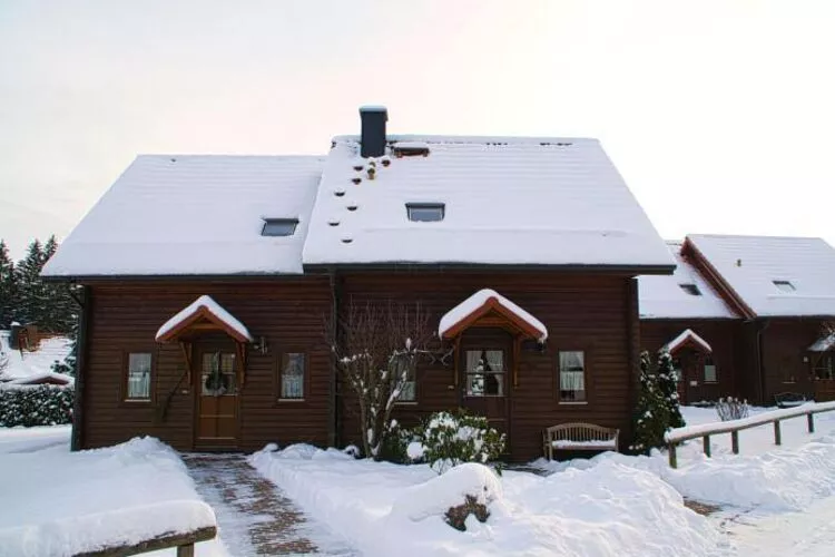Ferienhaus in Hasselfelde - Haus 47 Blauvogel-Exterieur winter