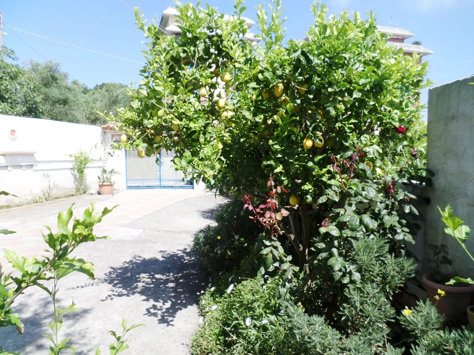 Das Landhaus von Kleopatra und Marcantonio-Buiten