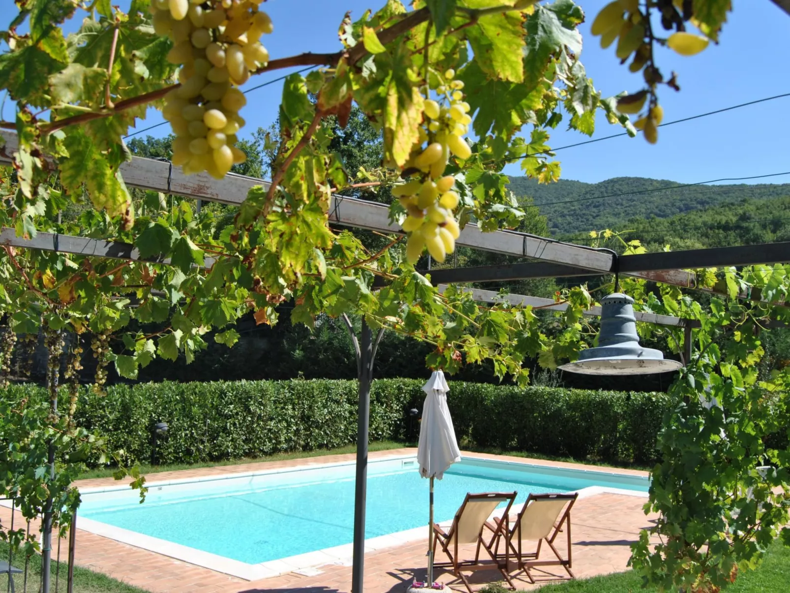 Altes Landhaus mit Schwimmbad und viel Grün-Buiten